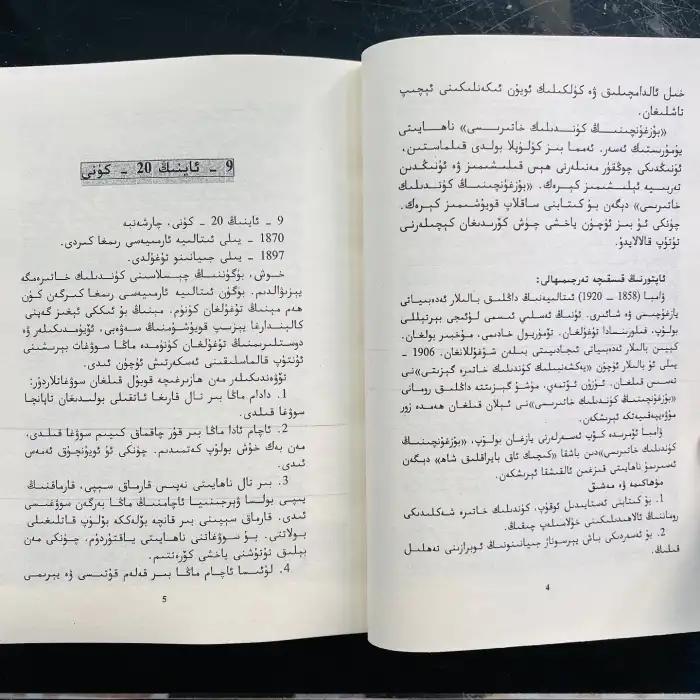 بۇزغۇنچىنىڭ كۈندىلىك خاتىرىسى