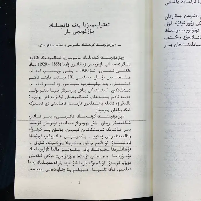 بۇزغۇنچىنىڭ كۈندىلىك خاتىرىسى