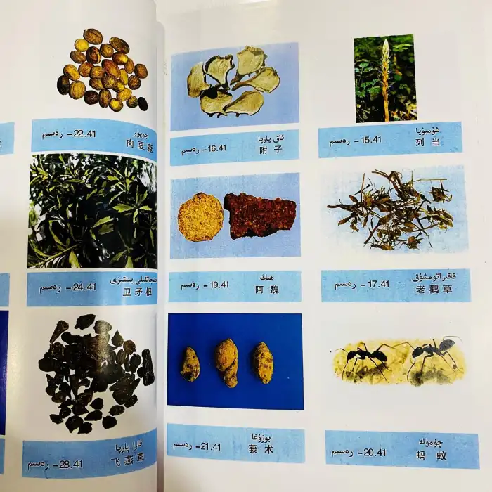 Uyghur Medicine Raw Medicine, Volume 1