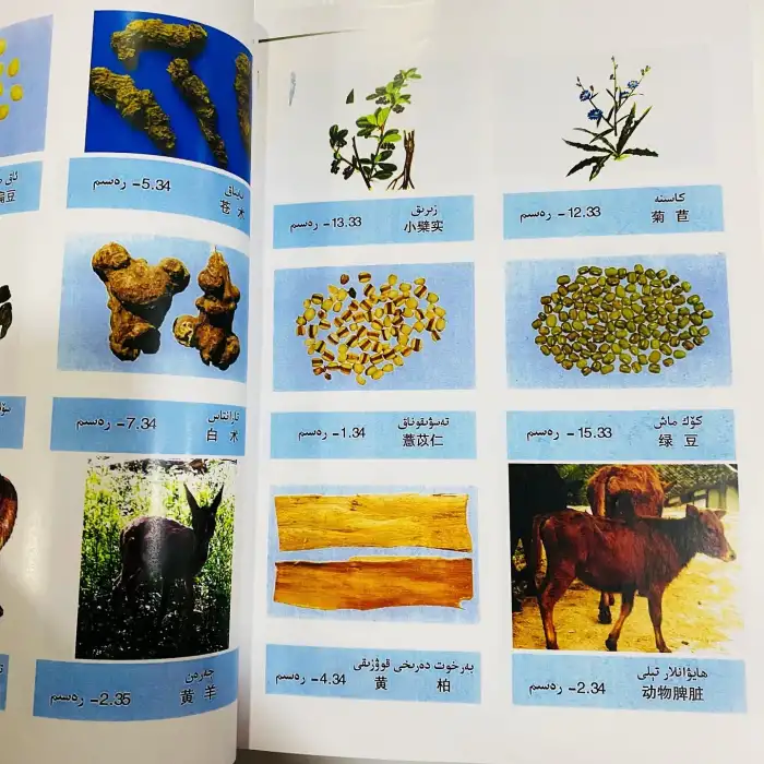 Uyghur Medicine Raw Medicine, Volume 1