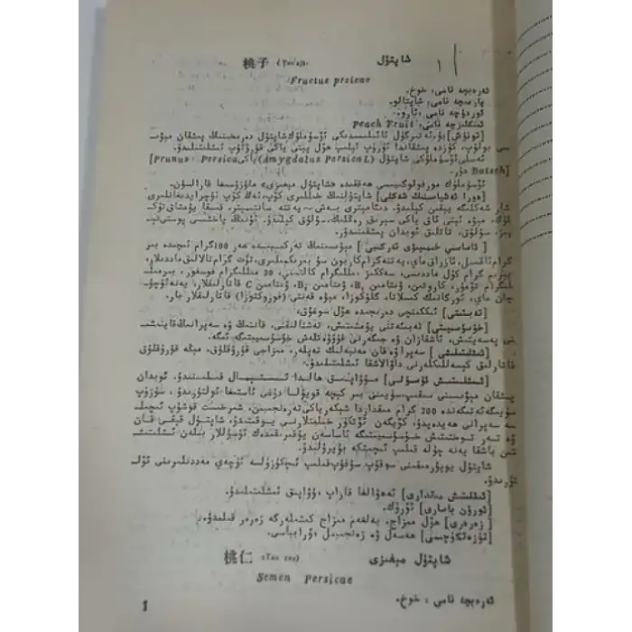 ئۇيغۇر تېبابىتىدە دائىم ئىشلىتىلىدىغان دورا ئەشيالىرى ئىلمى