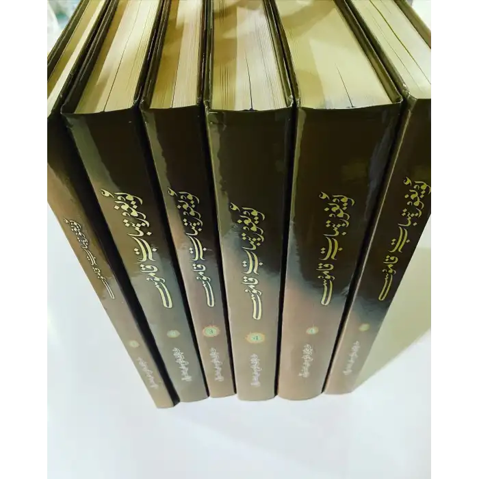 Uygur Tıbbı Ansiklopedisi (Yeni Baskı) 1