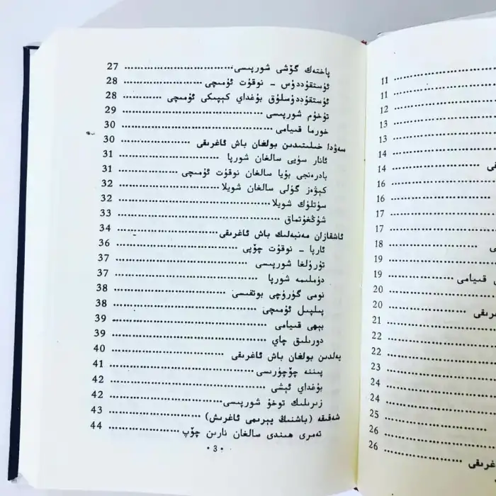 Uyghur Medicinal Foods