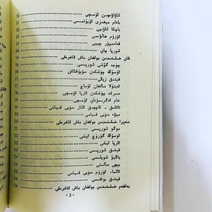 Uyghur Medicinal Foods