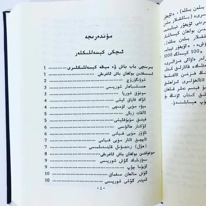 Uyghur Medicinal Foods