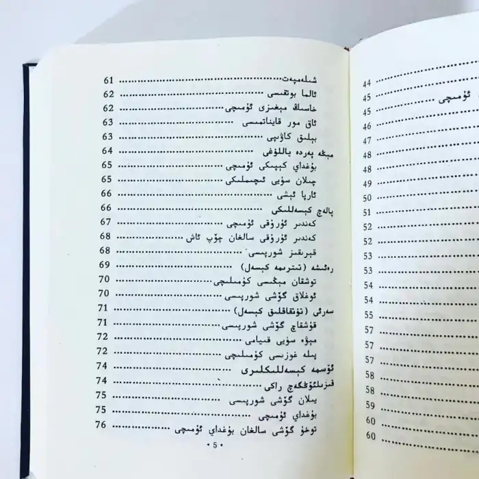 Uyghur Medicinal Foods