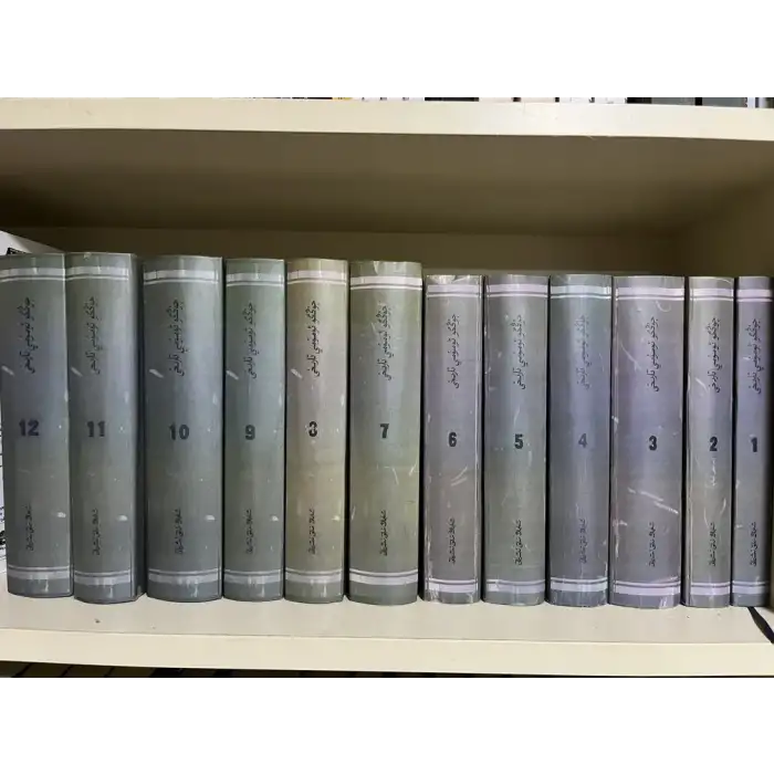 جۇڭگو ئومۇمىي تارىخى (12 توم)