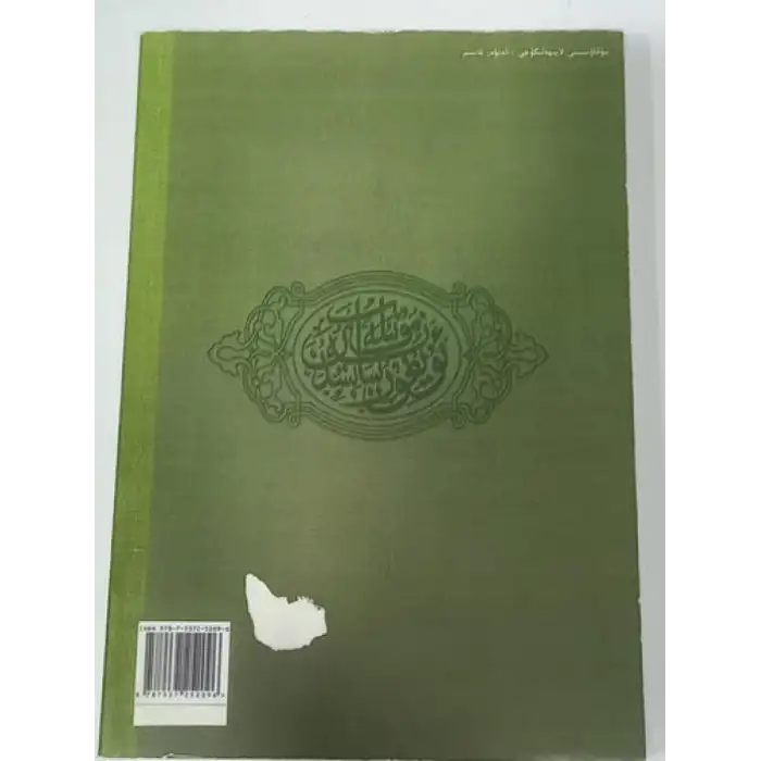 ئەغرازى تىببىيەدىكى بەل ئومۇرتقا ۋە سۆڭەك - بوغۇم كېسەللىكلىرىگە دائىر بايانلار