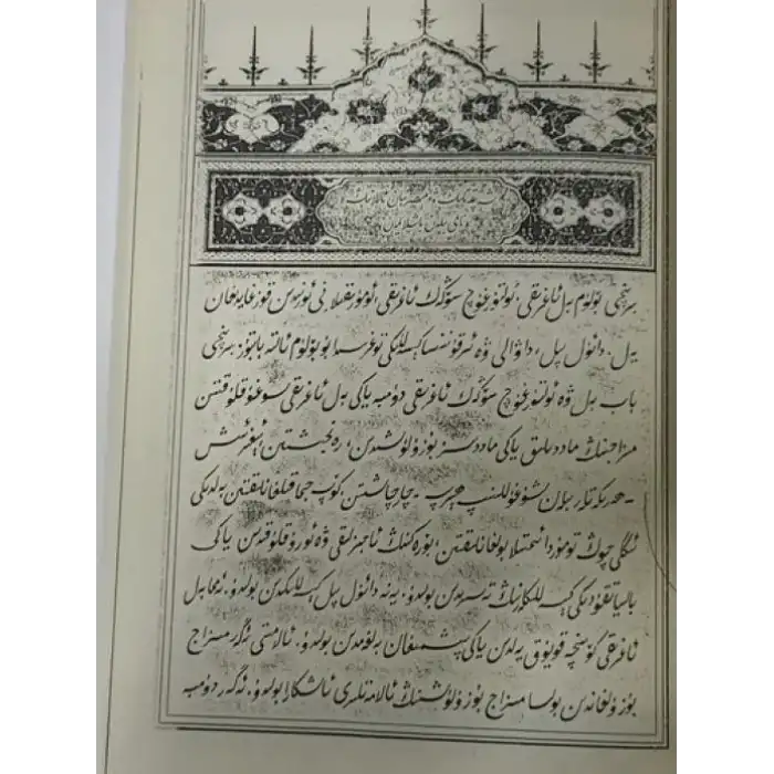 ئەغرازى تىببىيەدىكى بەل ئومۇرتقا ۋە سۆڭەك - بوغۇم كېسەللىكلىرىگە دائىر بايانلار