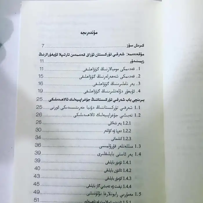 Doğu Türkistanın demografik coğrafyası