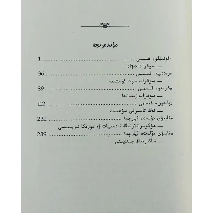 Platonun Konuşmaları