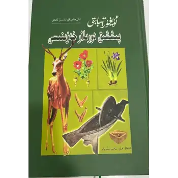 Uygur Tıbbı Hazine Sandığı