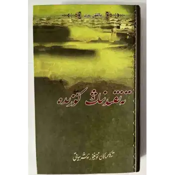 Eleştirinin gözünde