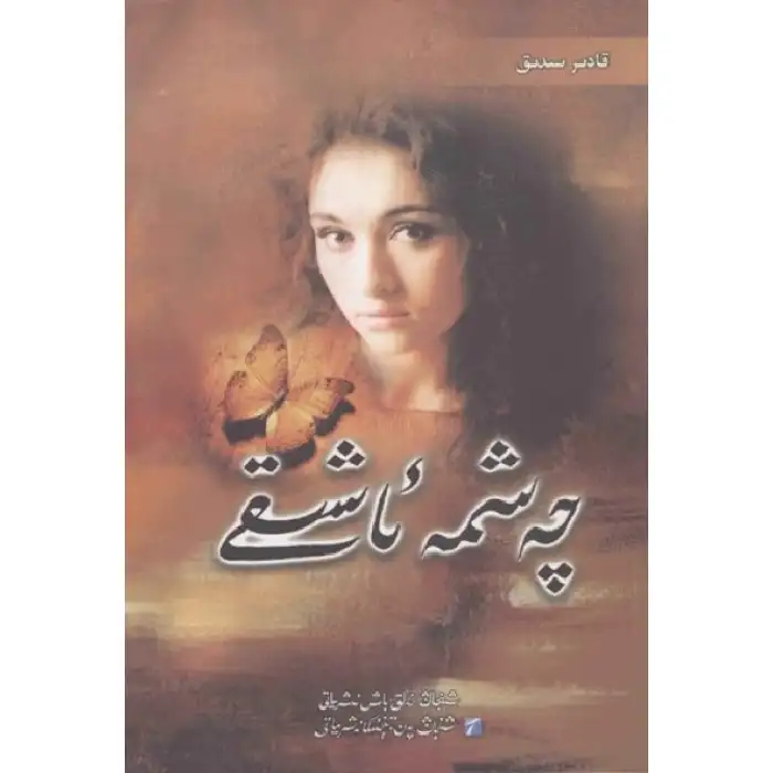 چەشمە ئاشىقى