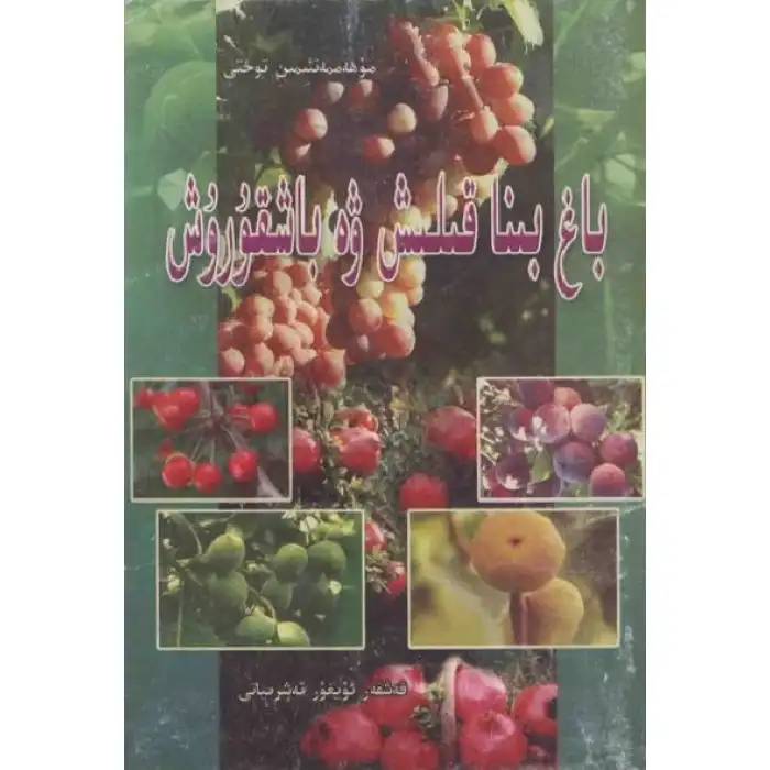 باغ بىنا قىلىش ۋە باشقۇرۇش