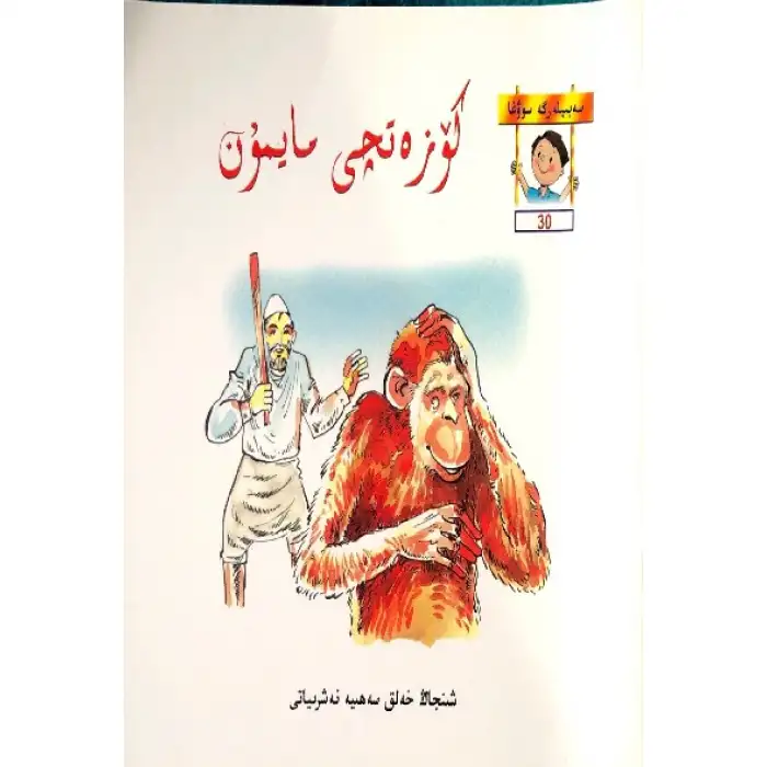 كۆزەتچى مايمۇن