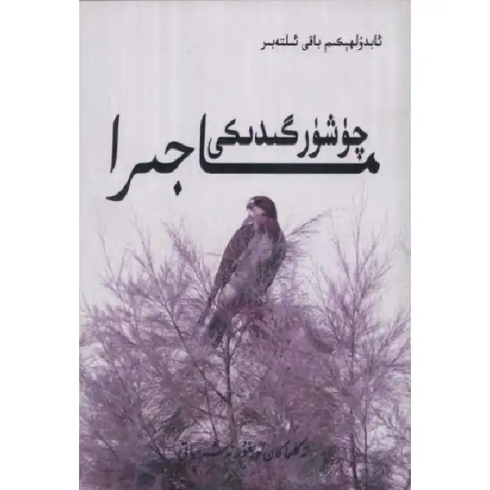 چۈشۈرگىدىكى ماجرا