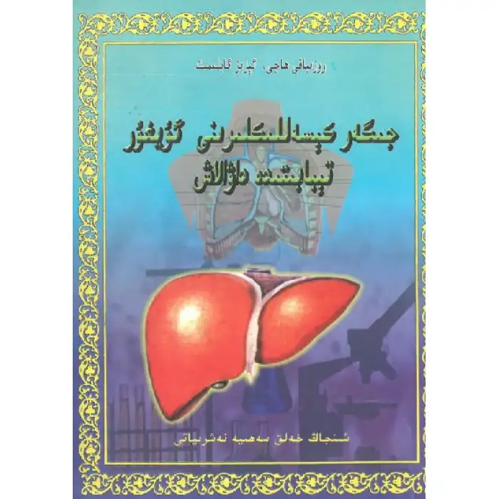 Uygur tıbbında karaciğer hastalıklarının tedavisi