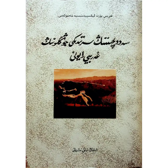 Büyük Set Resifinin dışındaki Batı Çin