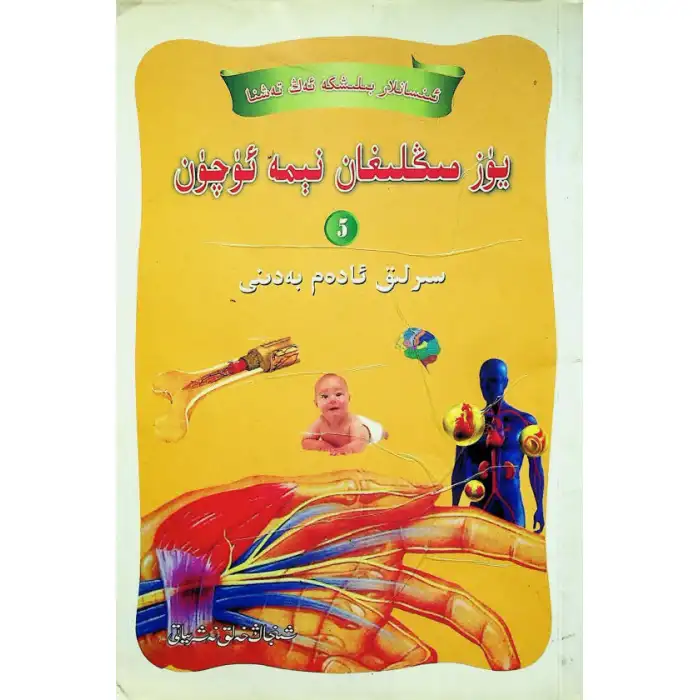 Why Hundreds Of Thousands (The Mysterious Human Body)