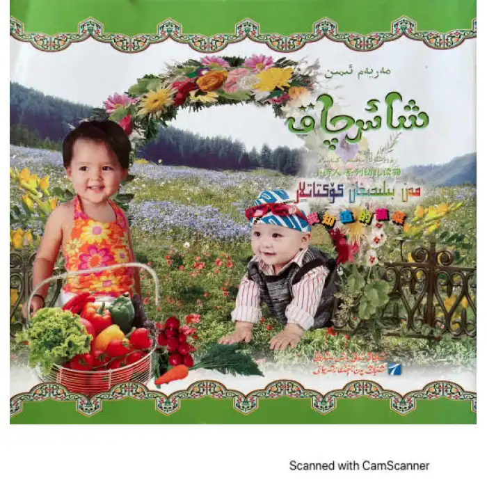 شائىرچاق-كۆكتاتلار