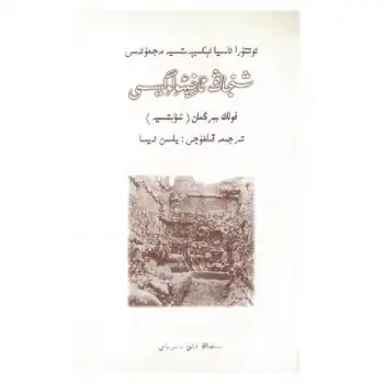 Xinjiang Archaeology