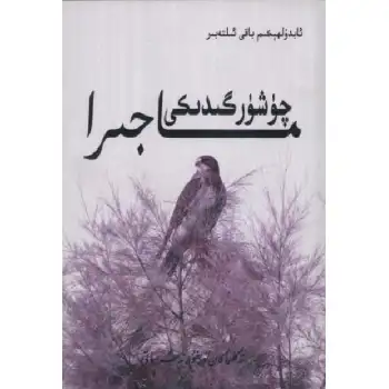 چۈشۈرگىدىكى ماجرا