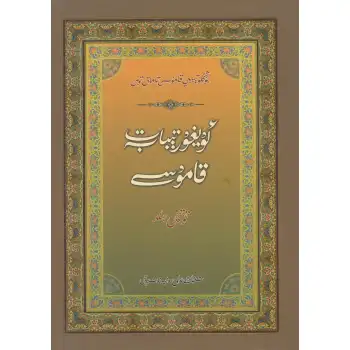 Uygur Tıbbı Ansiklopedisi (Yeni Baskı) 4