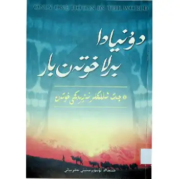 دۇنيادا بىرلا خوتەن بار 13 (چەت ئەللىكلەر نەزىرىدىكى خوتەن)