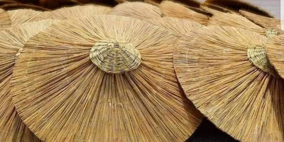 HASIR ŞEMSİYE NEDİR? NEDEN KULLANILMALIDIR?