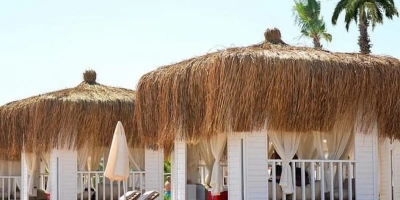 PÜSKÜL OTU NEDİR? ÖZELLİKLERİ NELERDİR?