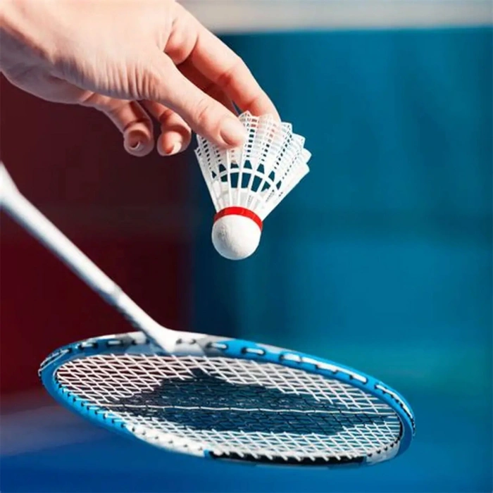 2PCS BADMİNTON RAKET SETİ ÇANTALI (5263)