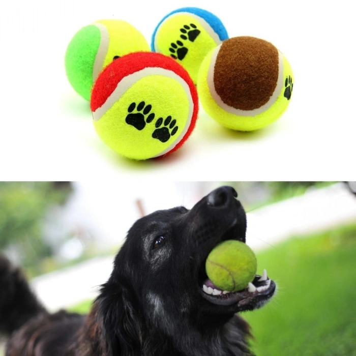 3'lü Renkli Desenli Tenis Topu Kedi Köpek Oyuncağı (5263)