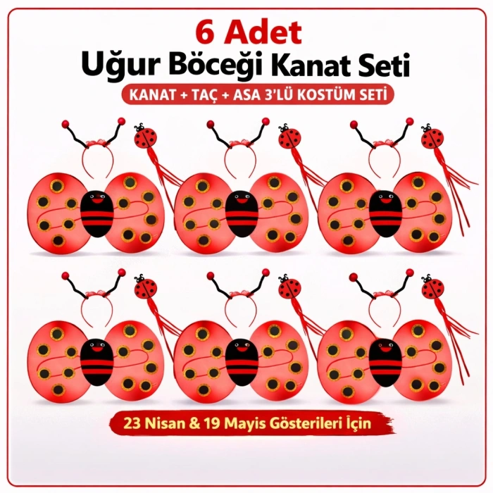6'lı Uğur Böceği Ateş Böceği Kostüm Seti – Kanat Taç Asa (5263)