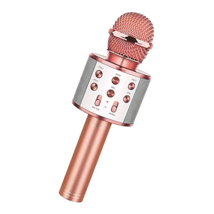 Bluetooth Karaoke Mikrofon (5263)