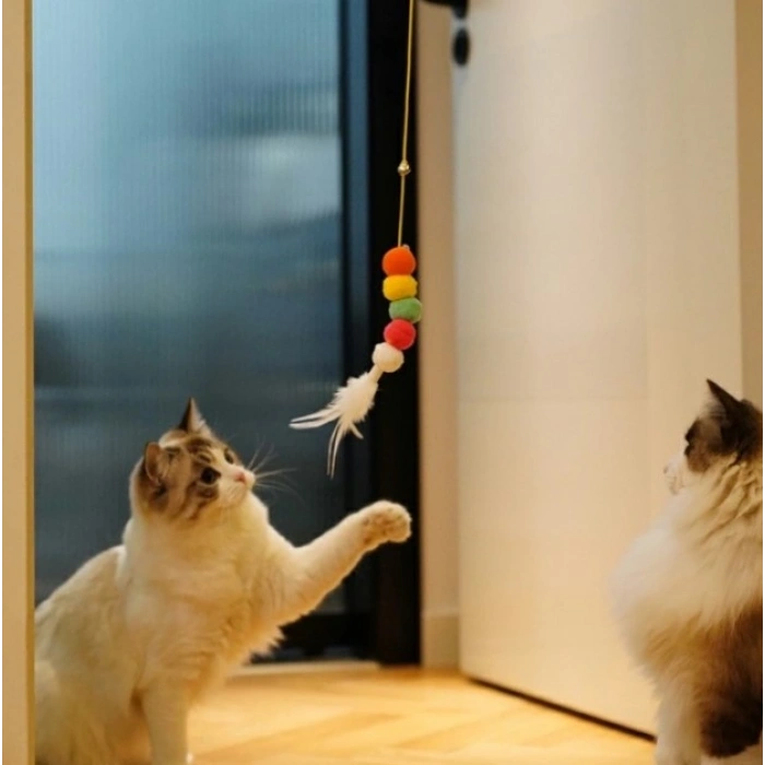 Elastik Kendinden Yapışkanlı Solucan Kedi Oltası (5263)