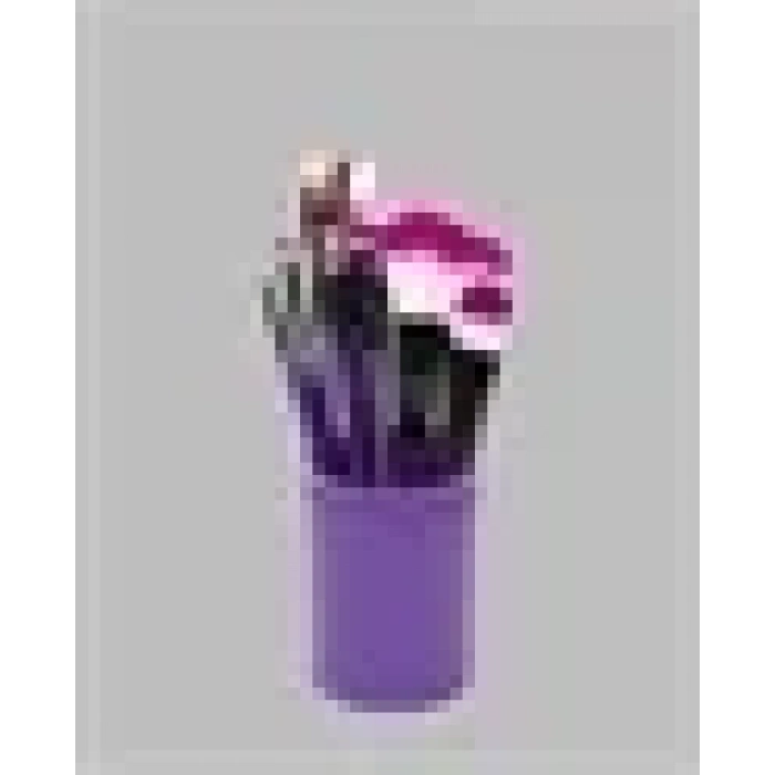 Fondöten, Allık Ve Far Uygulamalarına Uygun 12 Parça Makyaj Fırça Takımı Ergonomik Saplı