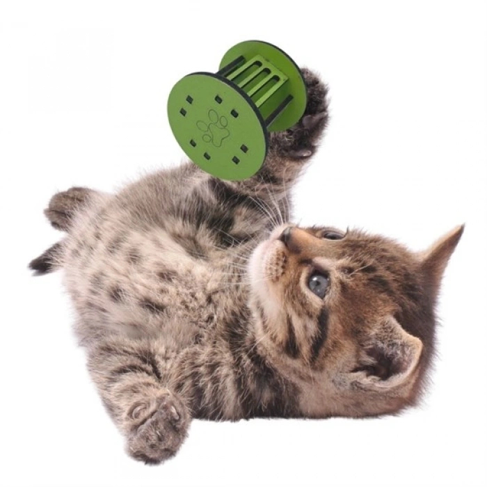 Mini Silindir Eğlenceli Renkli Sağlam Küçük Pati İzi Şekilli Kedi Oyuncağı (5263)