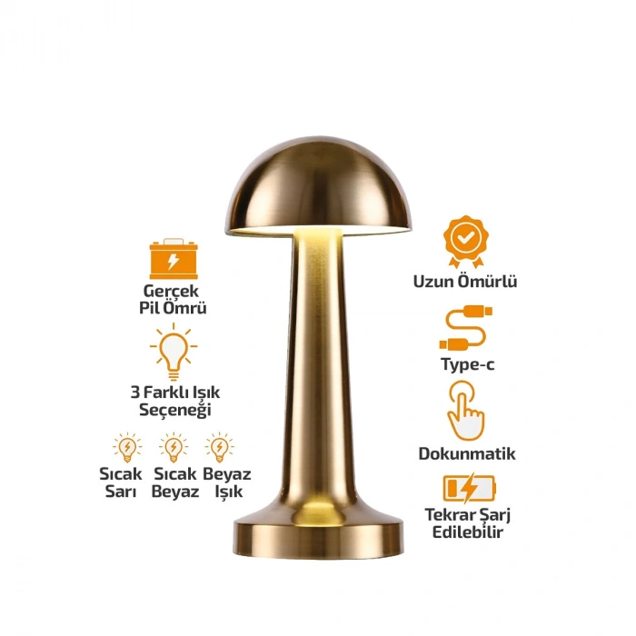 OVAL - METAL MANTAR MASA LAMBASI DOKUNMATİK - RENKLİ TYPE-C ŞARJLI 3 FONKSİYONLU YL86-1231 (5263)