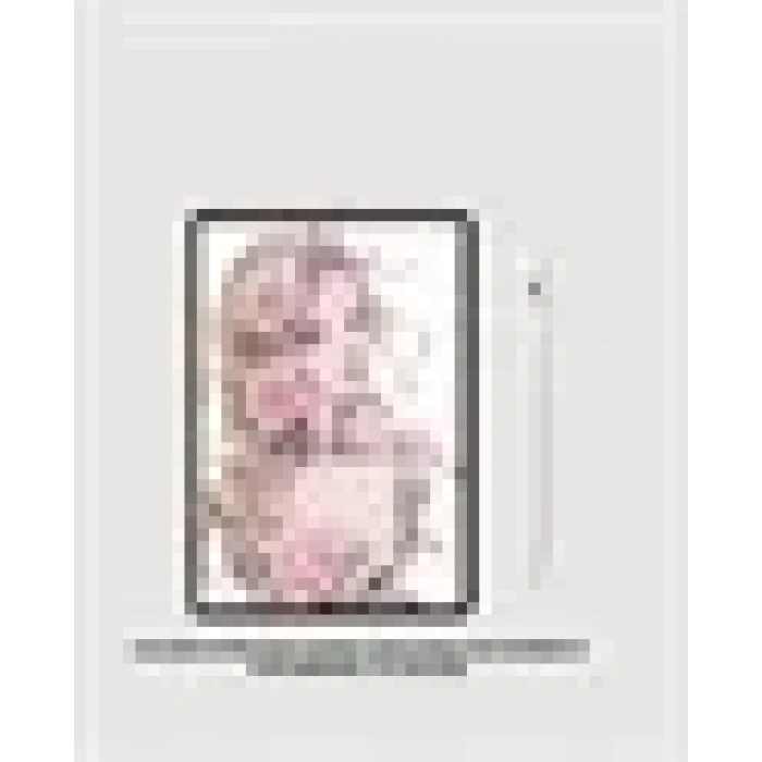 Profesyonel Dijital Kalem – Hassas Eğim Sensörü Ve Uzun Süreli Kullanım