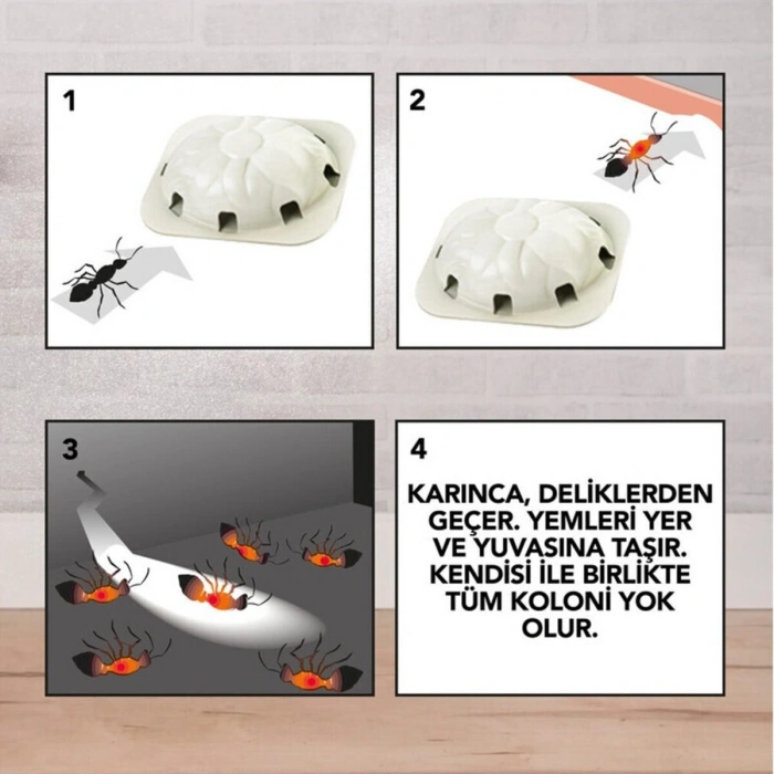 RAİD 2 PARÇA  KARINCA YEMİ (5263)