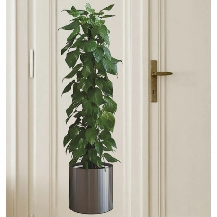Saksılı Bitki Tasarımlı Yapışkanlı Sticker Resim 90*30 cm (5263)