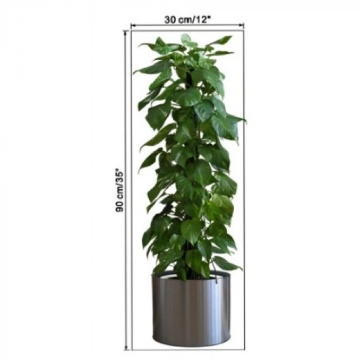Saksılı Bitki Tasarımlı Yapışkanlı Sticker Resim 90*30 cm (5263)