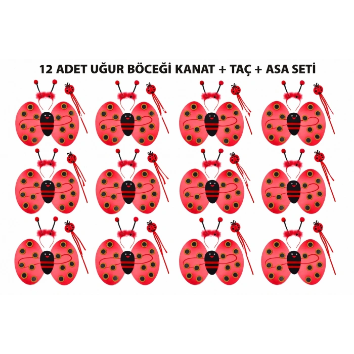 Uğur Böceği Kostüm Seti - Kanat Taç Asa 3 Parça 12 Adet (5263)
