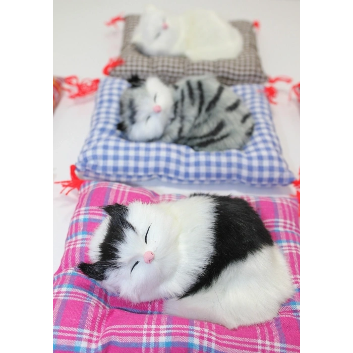 Yastıkta Uyuyan Kedi Sesli Alk24