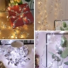 3 Metre Yaldızlı Gümüş LED Işık – Dekoratif Ortam ve Yılbaşı Aydınlatması (5263)