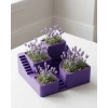 3d Kaktüs Saksısı Modern Çok Bölmeli Dekoratif Tasarım