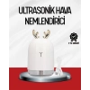 El Tipi Usb Mini Soğuk Mist Nemlendirici 220 ml Tank