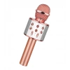 Bluetooth Karaoke Mikrofon (5263)