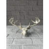 Dekoratif Geyik Başı Heykel 25 Cm Modern Minimal Tasarım